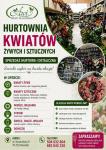  AWI HURTOWNIA KWIATÓW ŻYWYCH I SZTUCZNYCH KOSZALIN