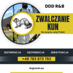 🛡️ DDD R & B – PROFESJONALNE USUWANIE I ZWALCZANIE KUN W CAŁEJ POLSCE ORAZ KOMPLEKSOWA DEZYNFEKCJA, DEZYNSEKCJA I DERATYZACJA
