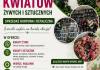  AWI HURTOWNIA KWIATÓW ŻYWYCH I SZTUCZNYCH KOSZALIN